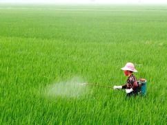 Thuốc bảo vệ thực vật