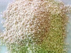 Phân bón NPK công nghệ cao (Công nghệ tháp cao)