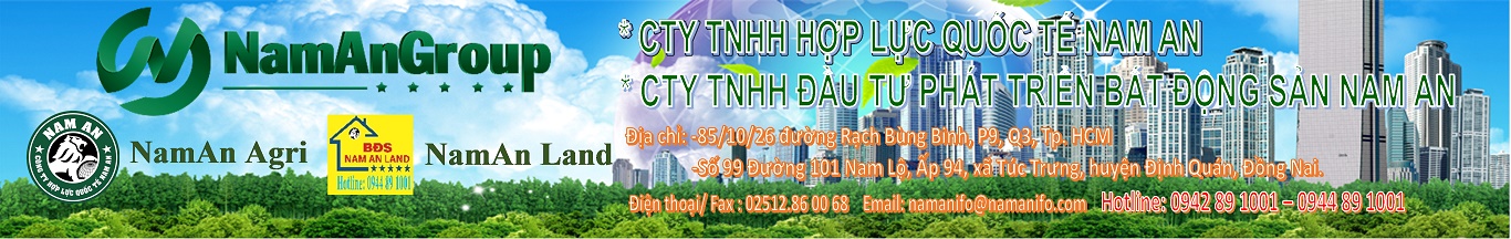 Hợp Lực Quốc Tế Nam An